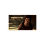 The last of us 1 (3)