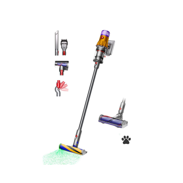 dyson v12